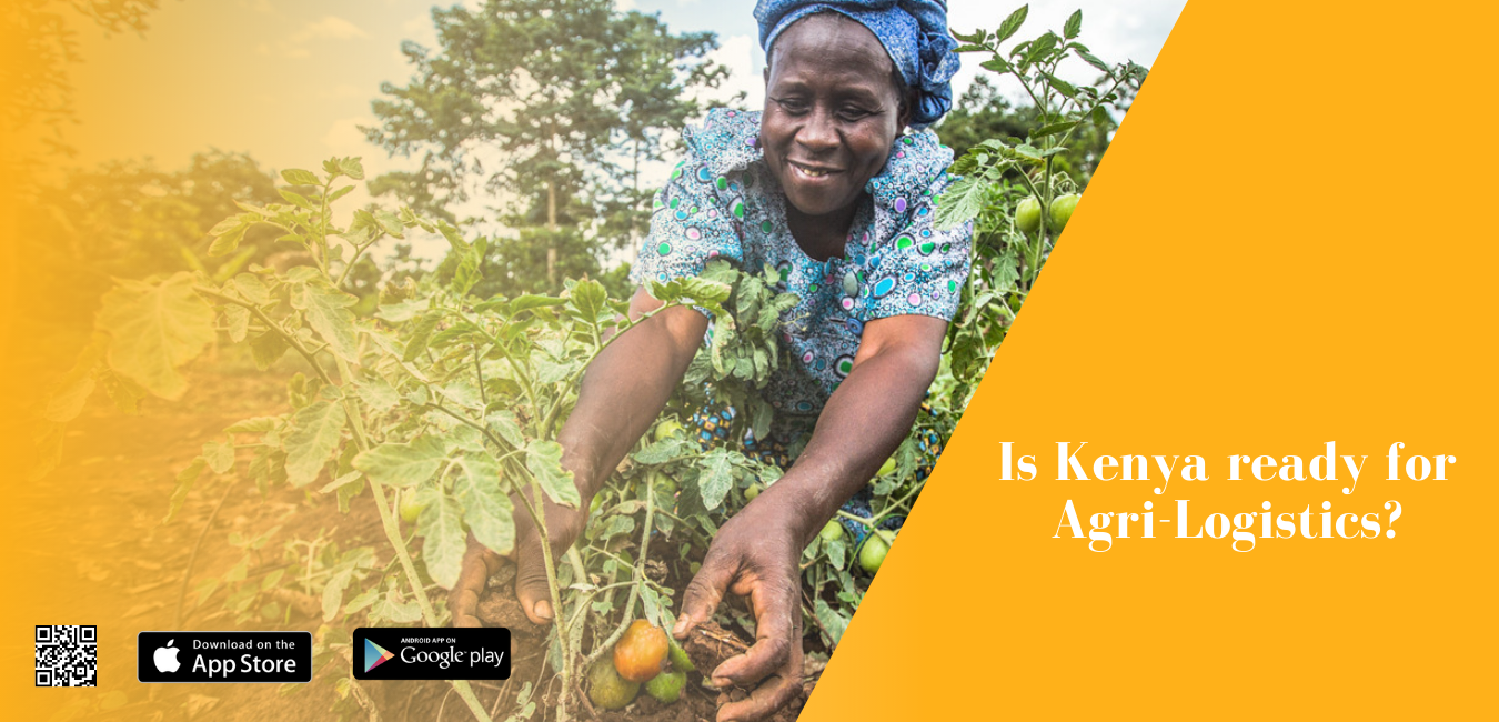 Why Kenya needs a structured Agri-logistics